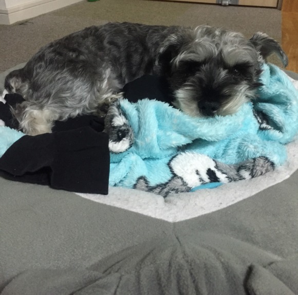 b0188998_23103184.jpeg