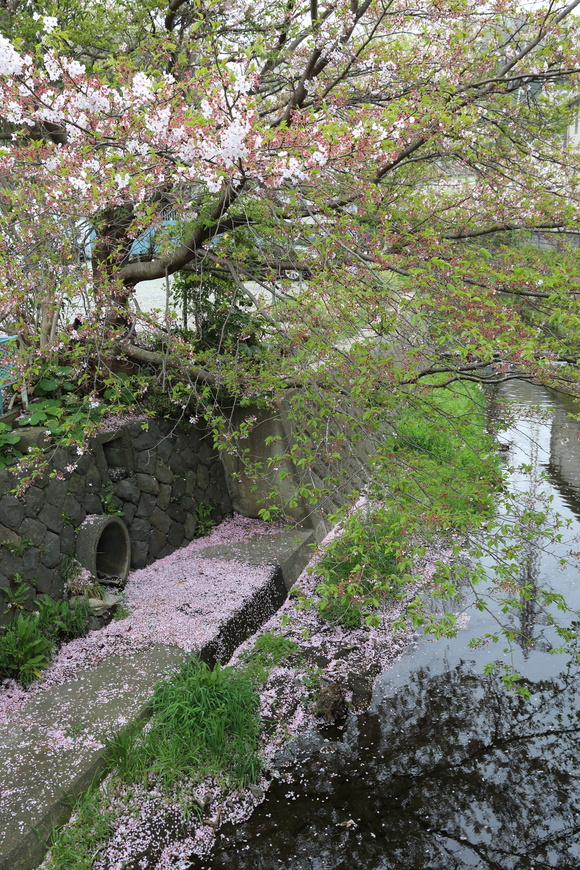 b0275998_11582247.jpg