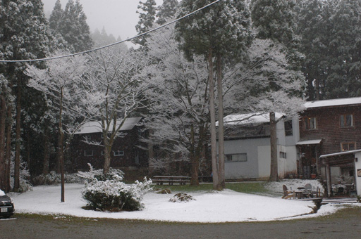 a0061599_7242925.jpg