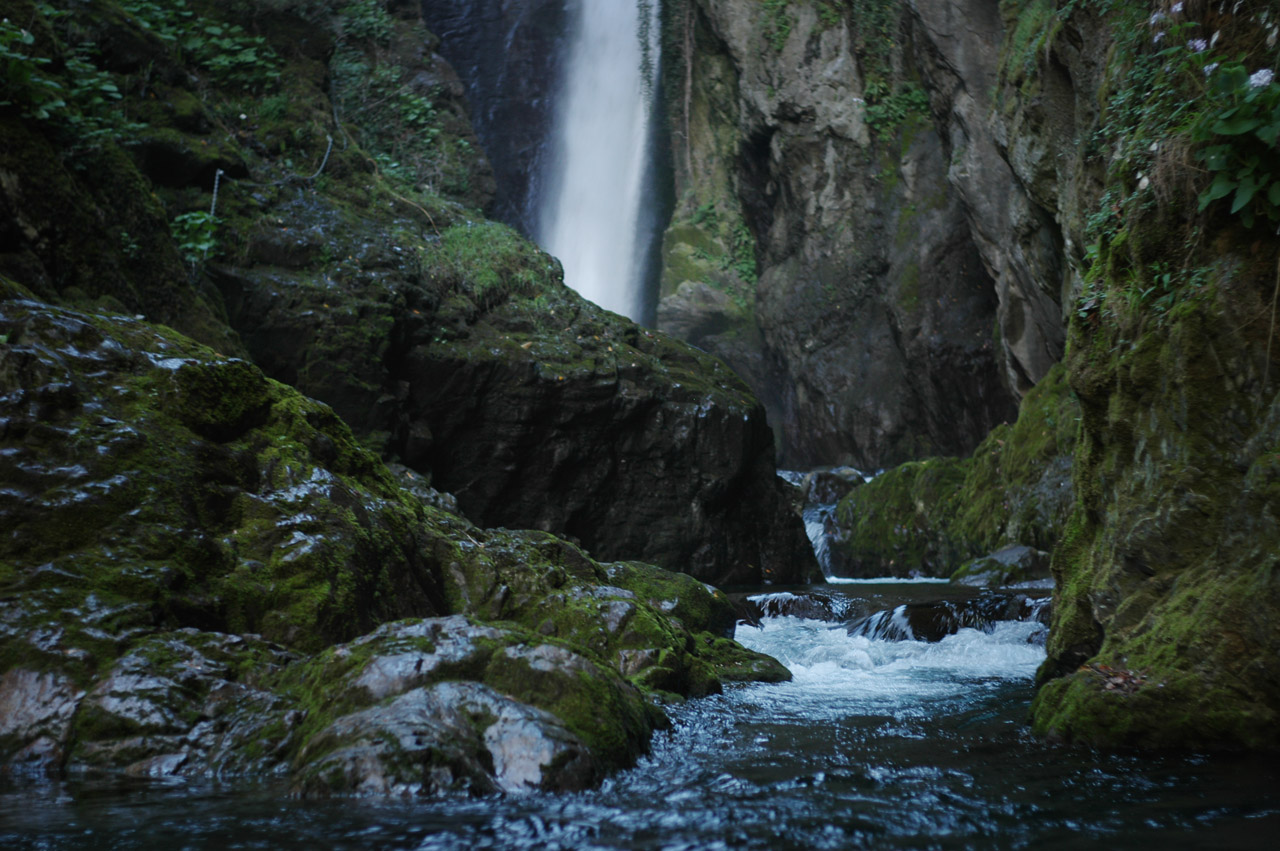 d0104210_4373763.jpg