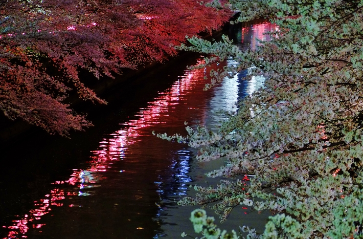 e0000910_1043105.jpg