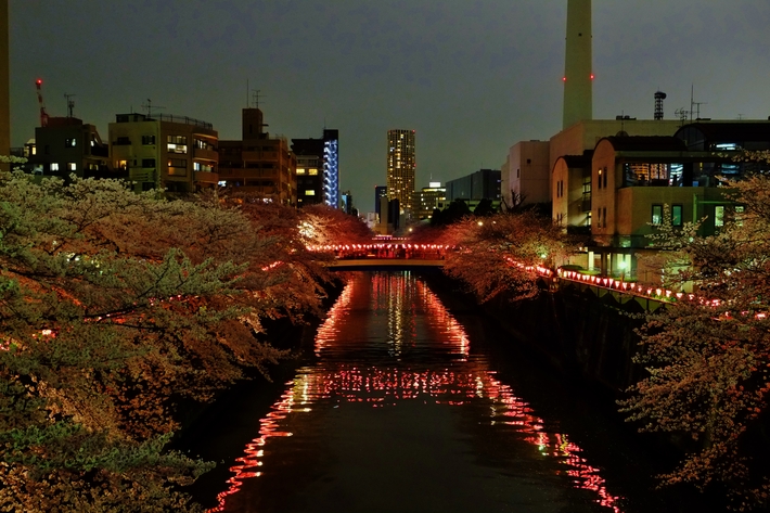 e0000910_11335854.jpg
