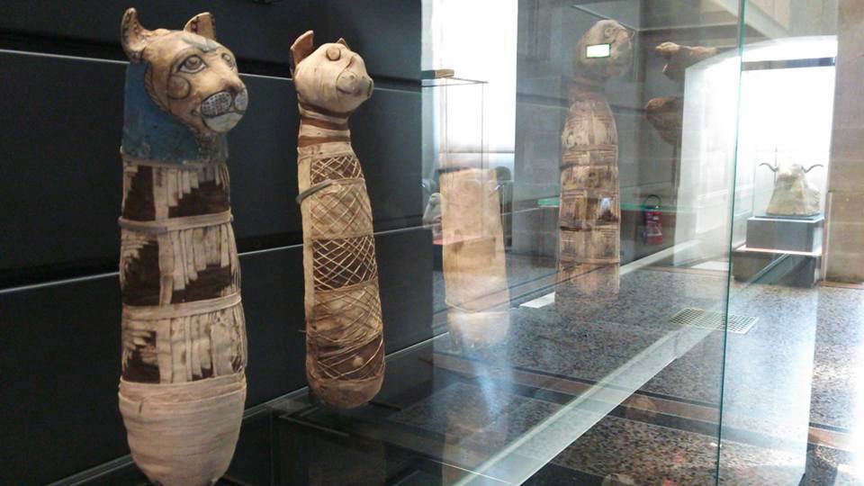 e0082110_23511411.jpg