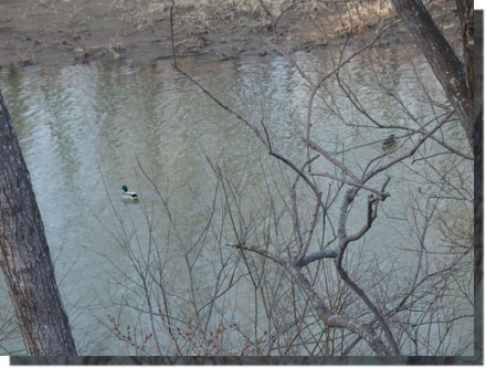 a0114514_2005789.png