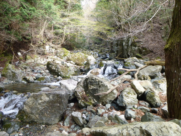 d0170615_1635696.jpg