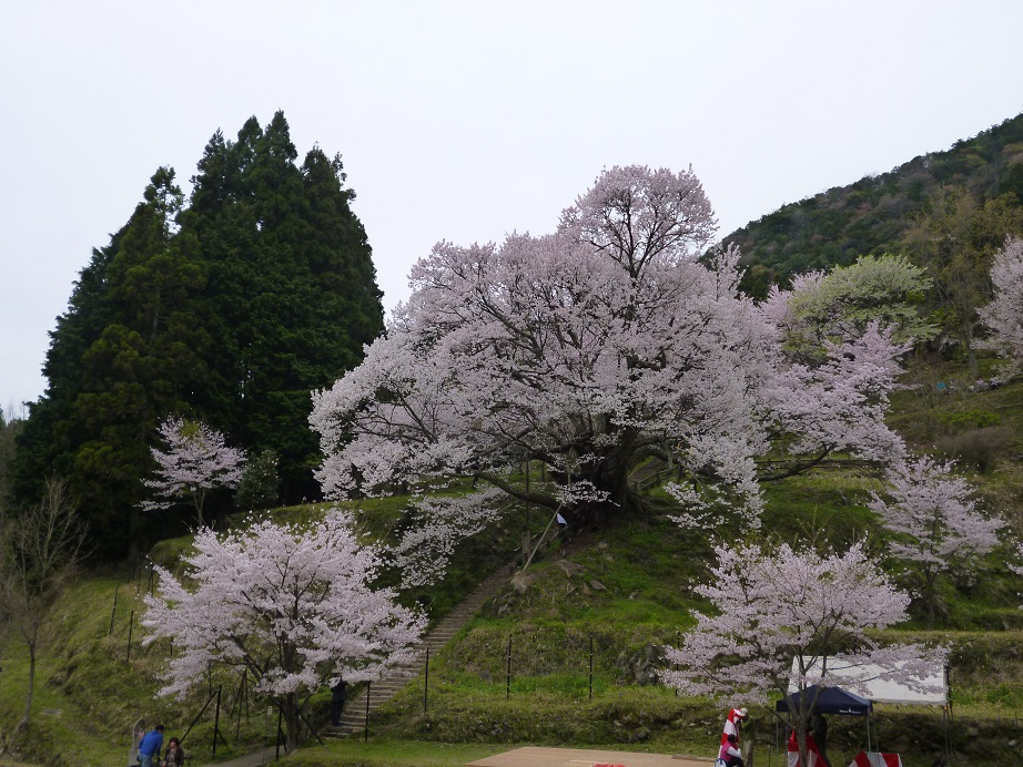 f0228619_2092565.jpg