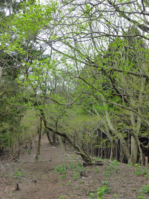 e0312121_0502090.gif