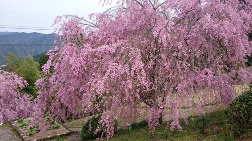 b0025633_2321775.jpg