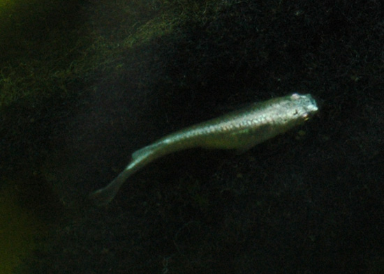 e0097534_17365083.jpg