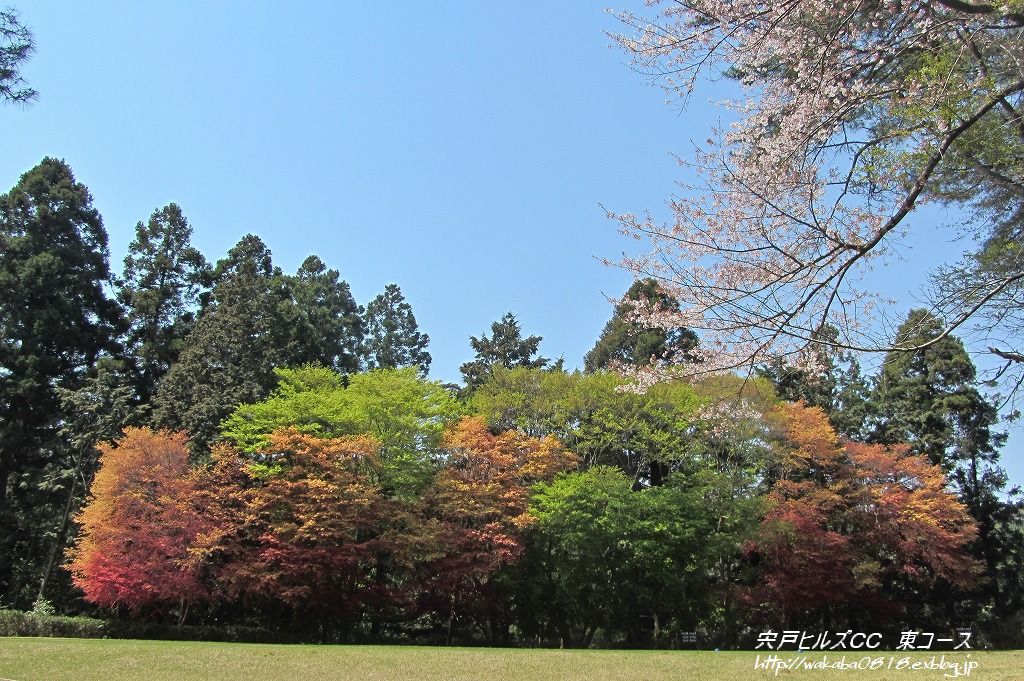 e0052135_217229.jpg