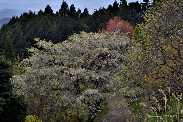 a0212036_18454704.jpg