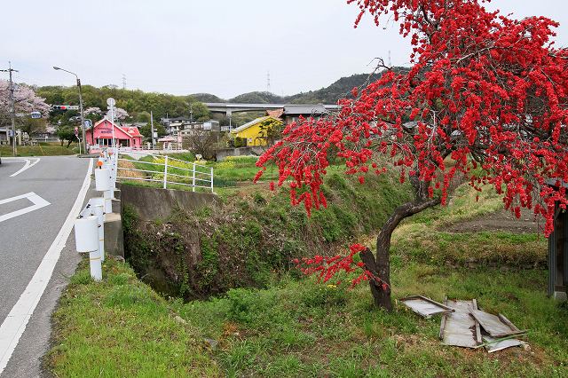 a0242438_20513168.jpg