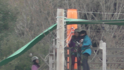 a0299749_229335.jpg