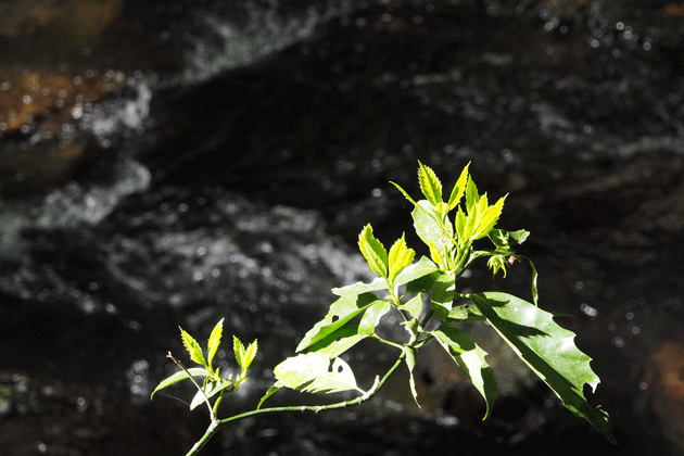 e0346064_23411775.gif