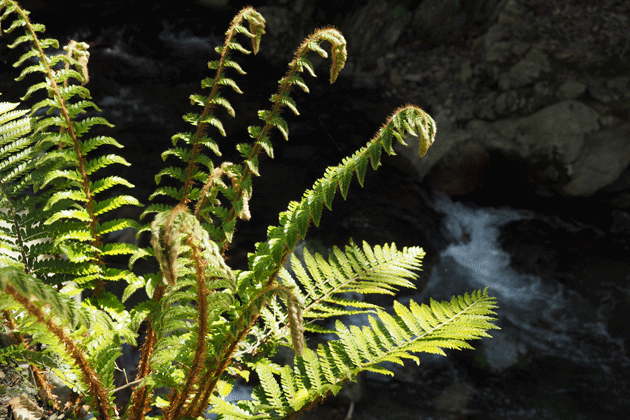 e0346064_2341694.gif