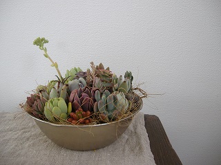 e0204865_1756487.jpg