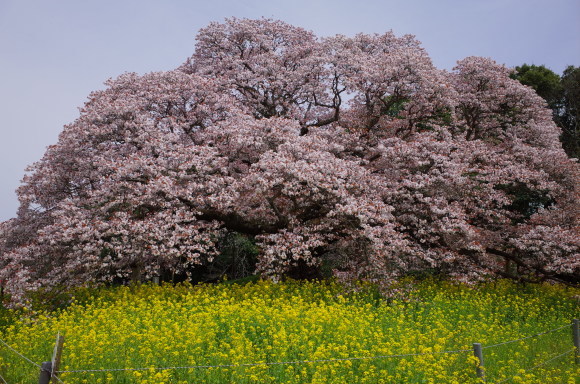 a0232368_18122400.jpeg
