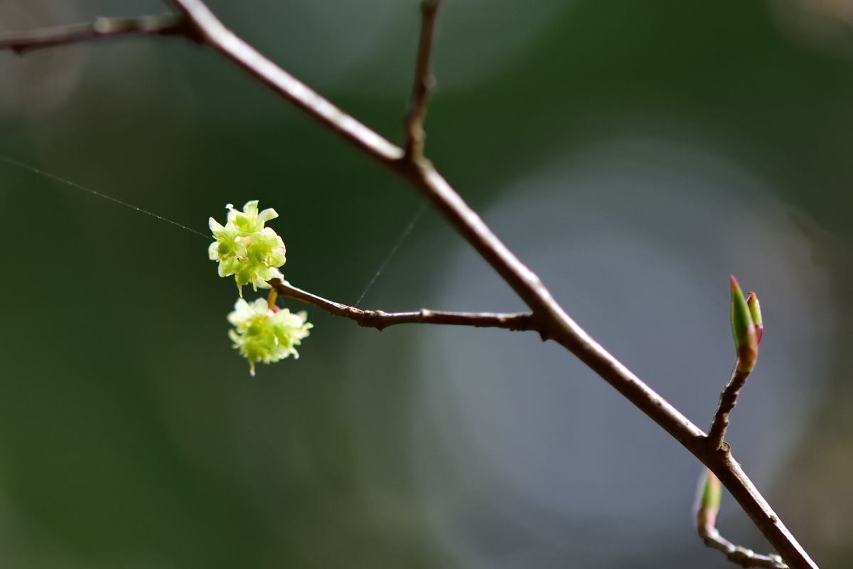 b0346568_23113598.jpg