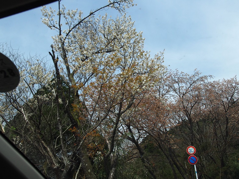 f0101679_747522.jpg