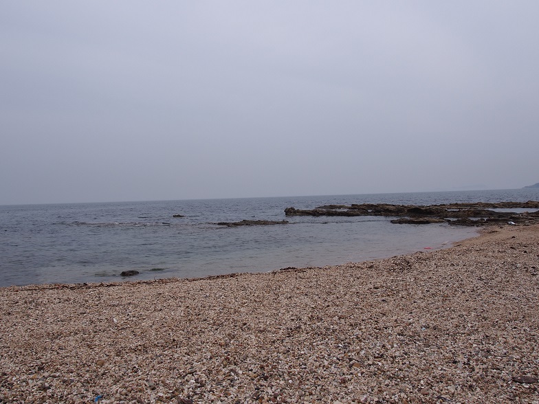 f0101679_75971.jpg