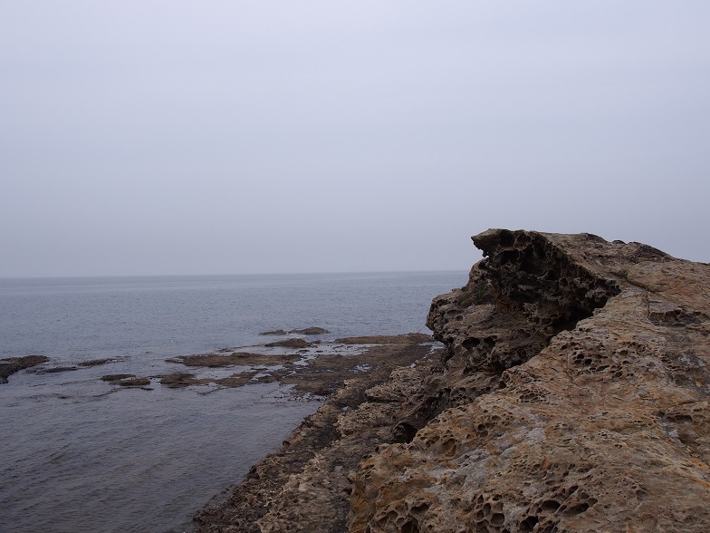 f0101679_80542.jpg