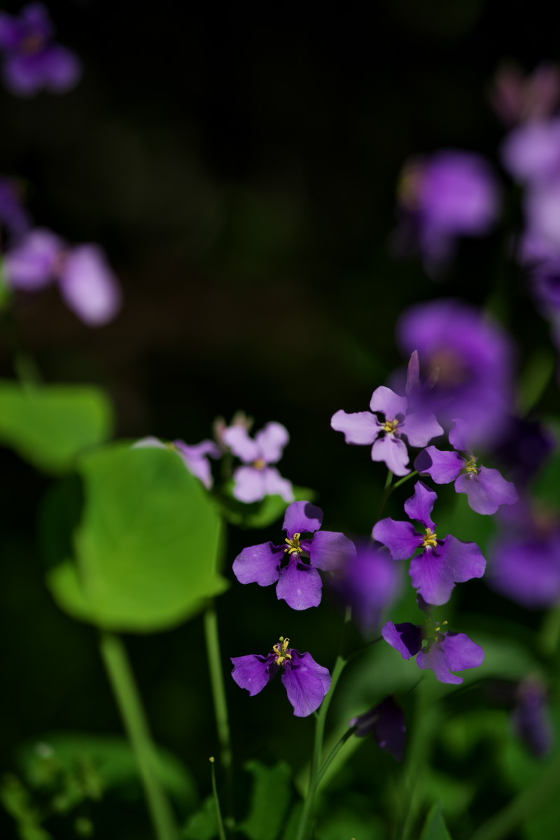 a0083081_1463879.jpg