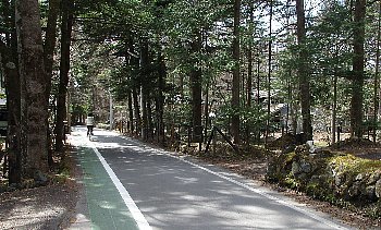 f0003283_17440783.jpg