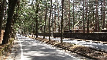 f0003283_17441171.jpg