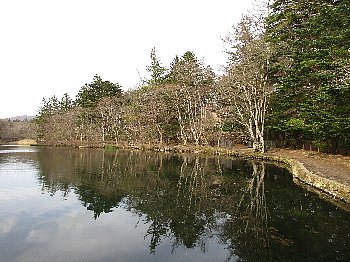f0003283_17473283.jpg