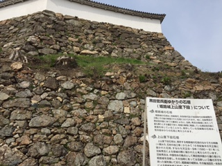f0231785_16182686.jpg