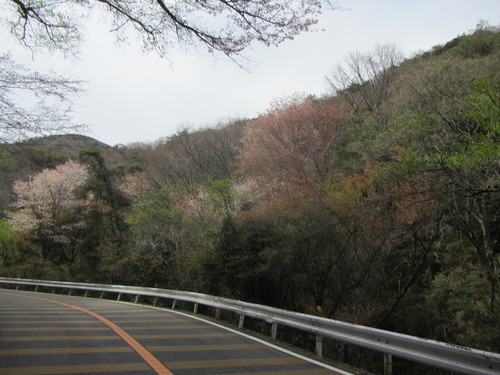 a0251786_19421399.jpg
