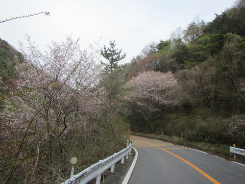 a0251786_19435796.jpg