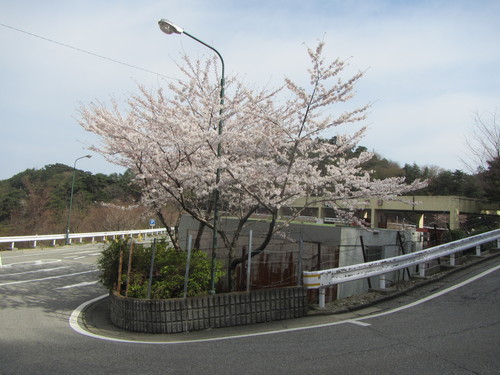 a0251786_1943941.jpg