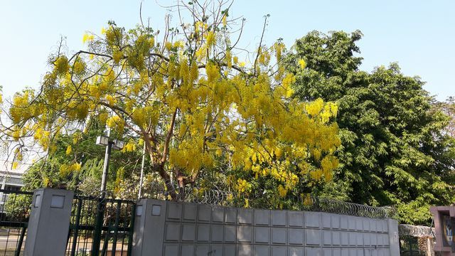b0287088_21331372.jpg