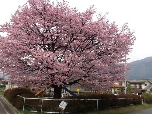 c0337990_18571560.jpg