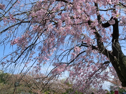 e0023790_22321897.jpg