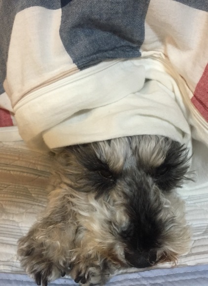 b0188998_00225997.jpeg