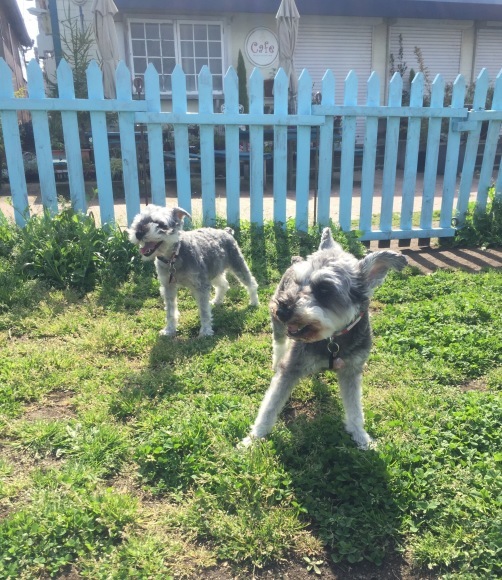 b0188998_21584977.jpeg