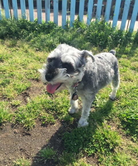 b0188998_21590649.jpeg