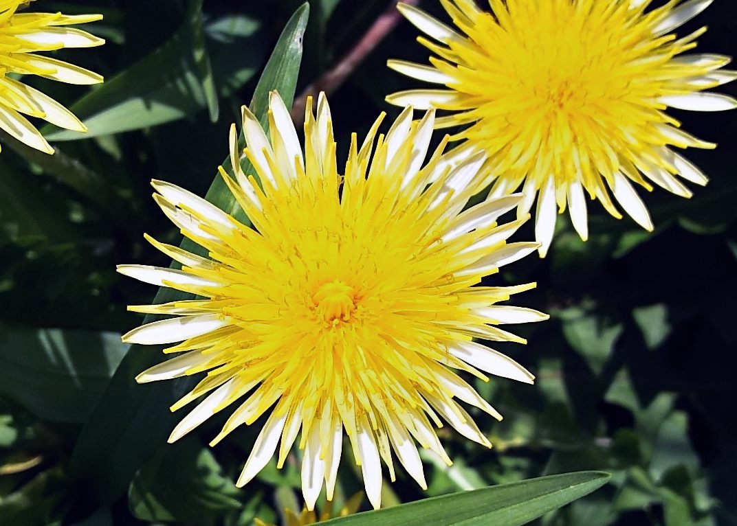 a0354799_09585041.jpg