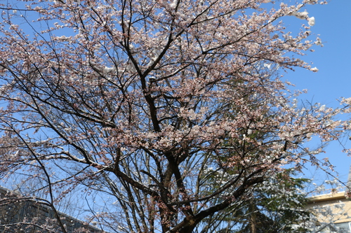 c0075701_22282012.jpg