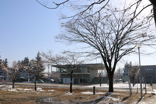 c0075701_22355452.jpg