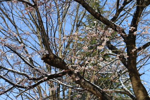 c0075701_22361314.jpg
