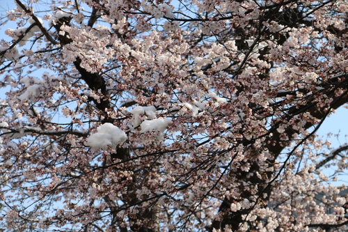 c0075701_23131133.jpg