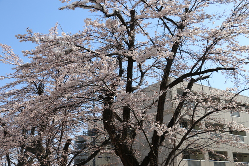 c0075701_23132916.jpg