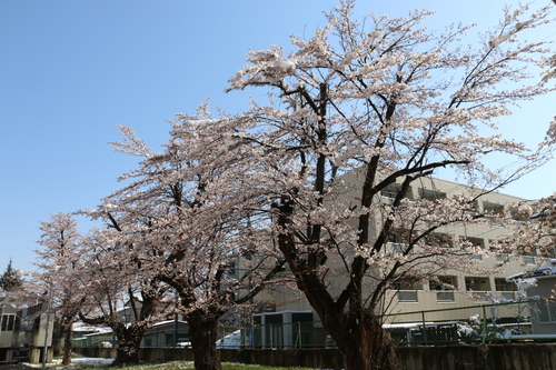 c0075701_23133157.jpg