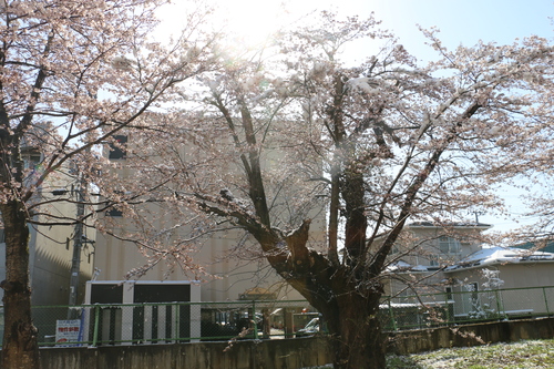 c0075701_23185739.jpg