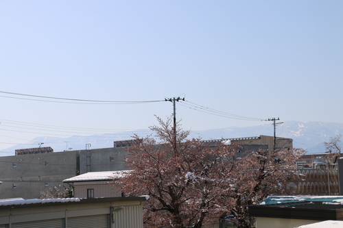 c0075701_23233273.jpg