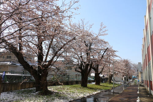 c0075701_2323557.jpg