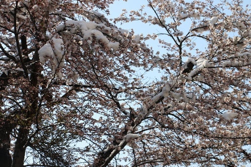 c0075701_23235799.jpg